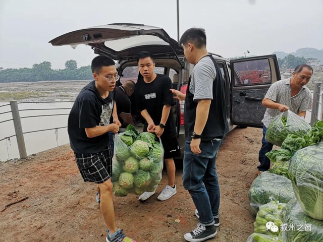 點贊！宜賓三名大學(xué)生向泥溪捐贈1000斤新鮮蔬菜(圖3)