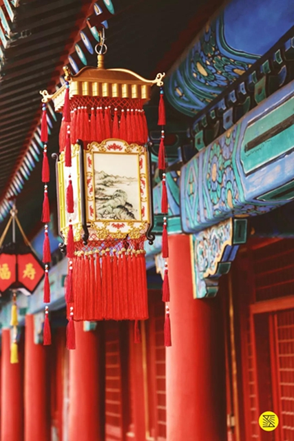 自貢中山兩市簽約，將在這個(gè)領(lǐng)域開(kāi)展深度合作！(圖5)