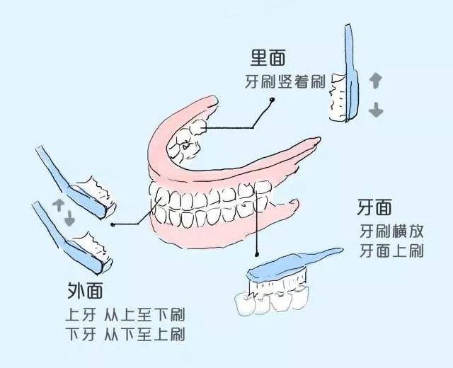 【注意】每天這樣刷牙，竟是在毀掉我們的牙齒？(圖4)