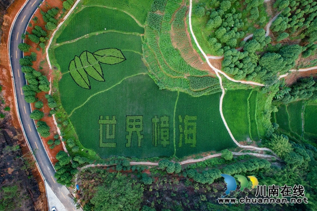 宜賓：三大試點探索扶貧攻堅“敘州樣本”