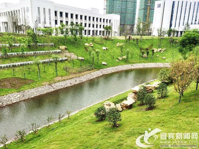 重磅！又一所大學(xué)在宜賓開校(圖7)