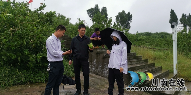關注特色風土人情 江蘇衛(wèi)視《從長江的盡頭回家》節(jié)目組來合江踩點(圖5)
