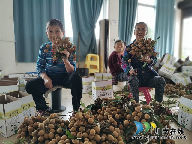 電商鮮銷十龍眼烘干 瀘縣牛灘鎮(zhèn)新嘉村延伸龍眼產業(yè)鏈助農脫貧增收(圖3)