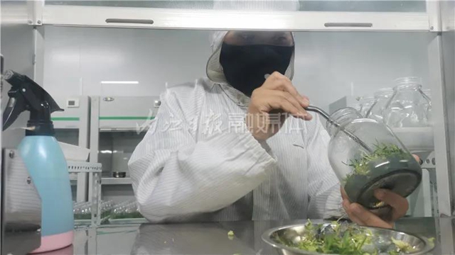 厲害！這項(xiàng)技術(shù)，內(nèi)江做到了全國領(lǐng)先