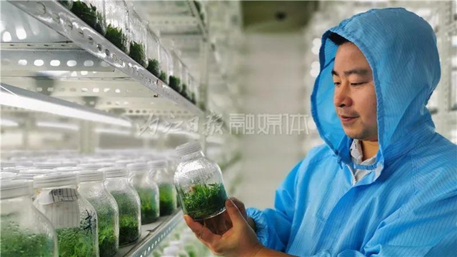 厲害！這項技術(shù)，內(nèi)江做到了全國領先(圖11)