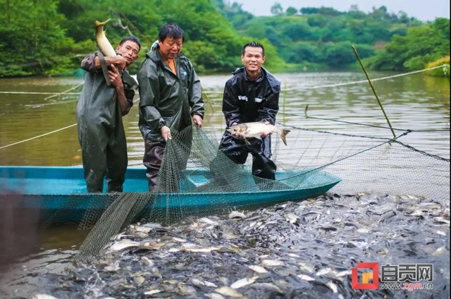 豐收啦！被這組鹽都農民的笑臉暖化(圖10)