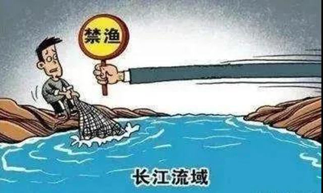 瀘縣一膽大個體戶網上銷售長江魚，嚴打沒商量！