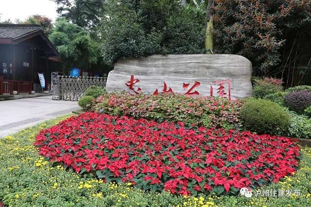 “儀式感”爆棚 | 85萬(wàn)盆鮮花扮靚酒城(圖7)