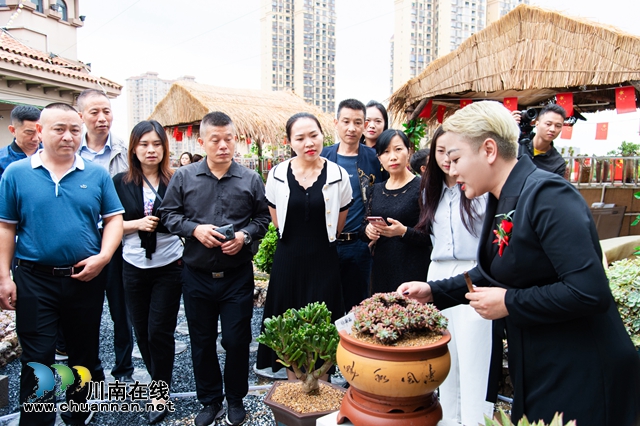 目測(cè)馬上網(wǎng)紅！“蔓多米多肉花園”驚艷亮相瀘州關(guān)口！(圖5)