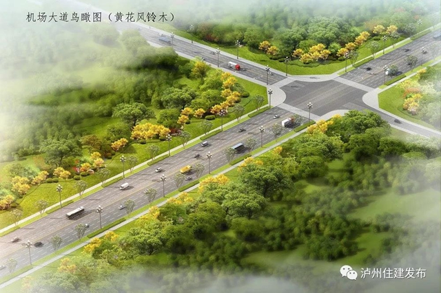 配上櫻花、紫薇、紫荊化……瀘州這四條景觀大道下月動(dòng)工打造超美打卡地！(圖5)