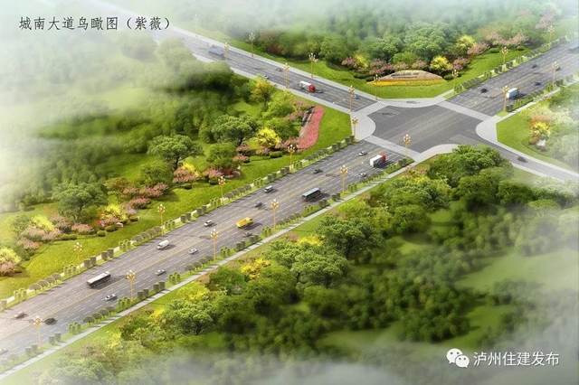配上櫻花、紫薇、紫荊化……瀘州這四條景觀大道下月動(dòng)工打造超美打卡地！(圖3)