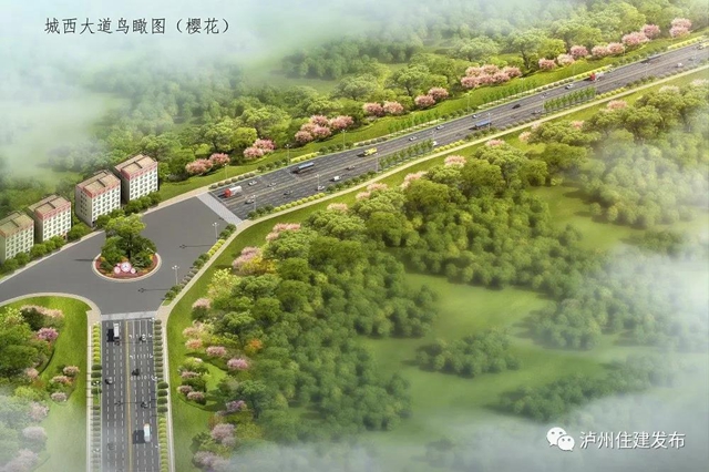 配上櫻花、紫薇、紫荊化……瀘州這四條景觀大道下月動(dòng)工打造超美打卡地！(圖4)