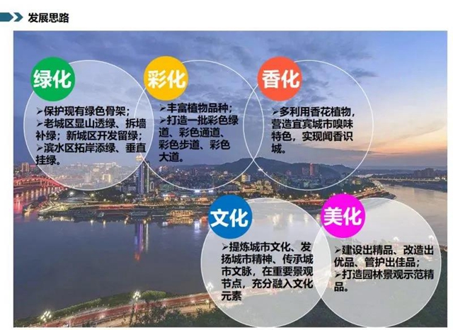 128個項目大手筆！宜賓未來美景可期(圖1)