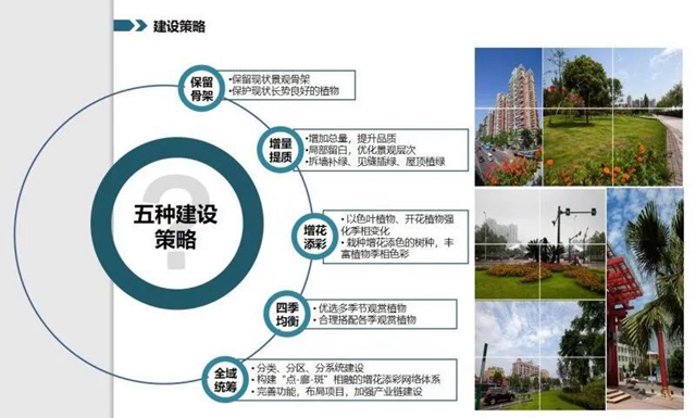 128個項目大手筆！宜賓未來美景可期(圖7)