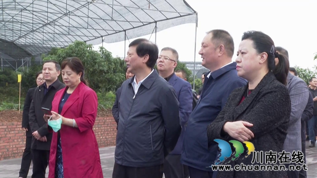 瀘州市現(xiàn)代農(nóng)業(yè)園區(qū)建設(shè)、脫貧攻堅表揚暨社會扶貧工作大會走進合江(圖3)