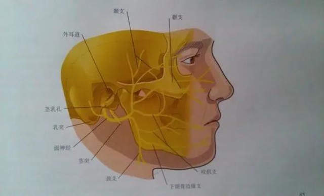 【太慘】一跤摔下去，男子下巴歪了、耳朵掉了？(圖2)