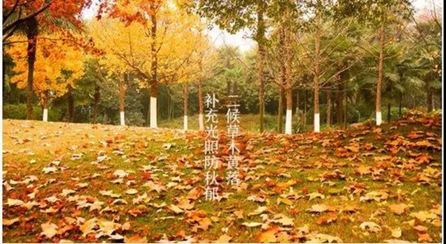 【霜降】明天起，火鍋、燒烤、串串不要吃了！(圖3)