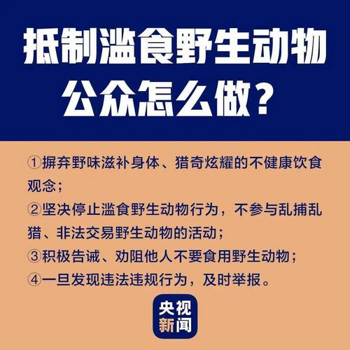 自貢一男子在抖音炫耀剮殺果子貍，結(jié)果......(圖4)
