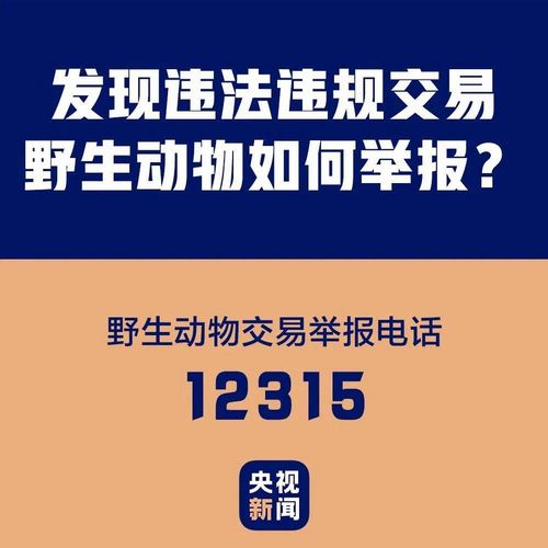 自貢一男子在抖音炫耀剮殺果子貍，結(jié)果......(圖7)