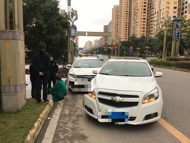 兩口子在興文法院門口打架、榔頭砸車！法警及時(shí)出手……