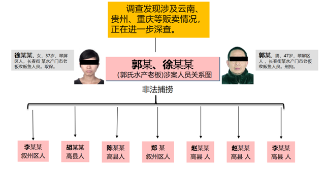 涉案超千萬！宜賓警方打掉4個(gè)犯罪團(tuán)伙，抓了43人！(圖4)