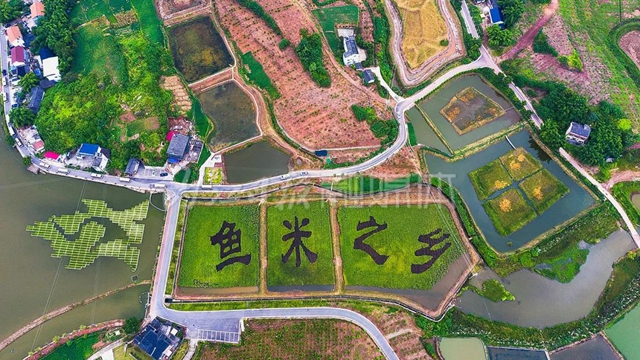 打破紀(jì)錄！內(nèi)江4個(gè)科技項(xiàng)目入圍省級(jí)科技大獎(jiǎng)(圖1)