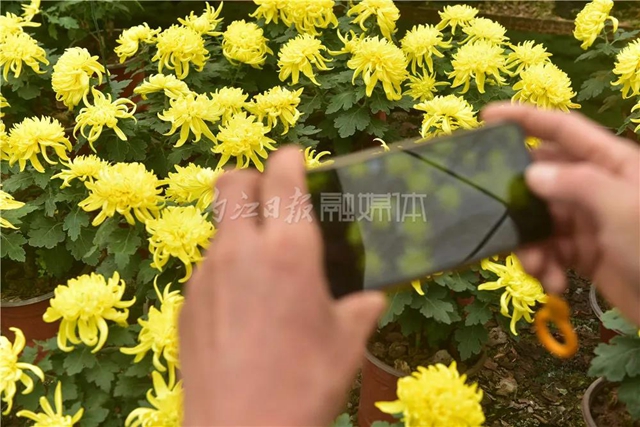 震撼！內(nèi)江城區(qū)邊，有片“七彩?！保?圖2)