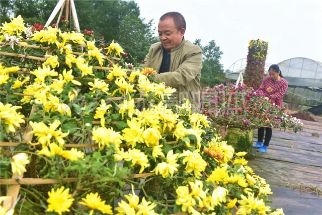 震撼！內(nèi)江城區(qū)邊，有片“七彩?！?！(圖12)
