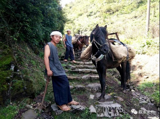 省級新名片！敘永摩尼被命名為“云上古道·康養(yǎng)小鎮(zhèn)”(圖3)