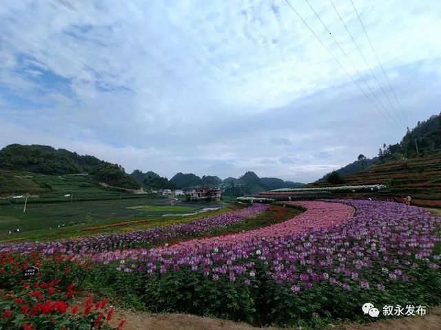 省級新名片！敘永摩尼被命名為“云上古道·康養(yǎng)小鎮(zhèn)”(圖4)
