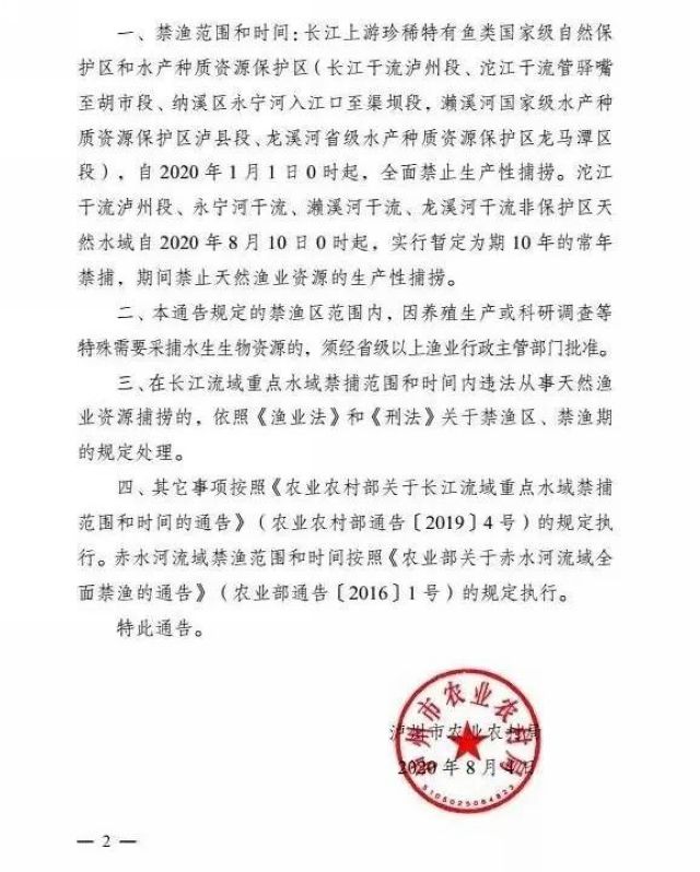 瀘州：一夜電翻近400斤魚，這兩弟兄遭了(圖2)