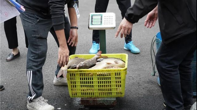 瀘州：一夜電翻近400斤魚，這兩弟兄遭了(圖5)