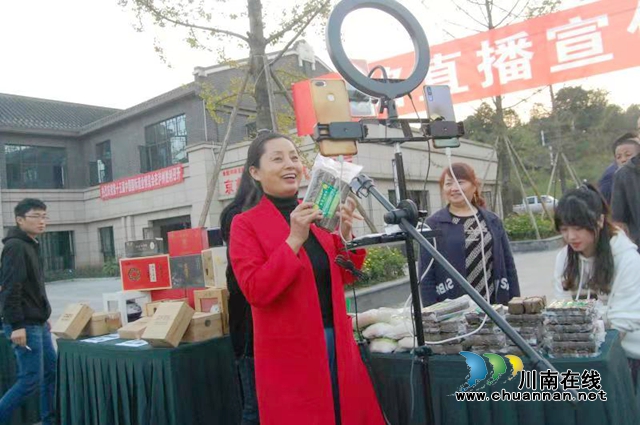 全國網(wǎng)絡(luò)直播基地（中國·酒街）在納溪啟動運行(圖8)