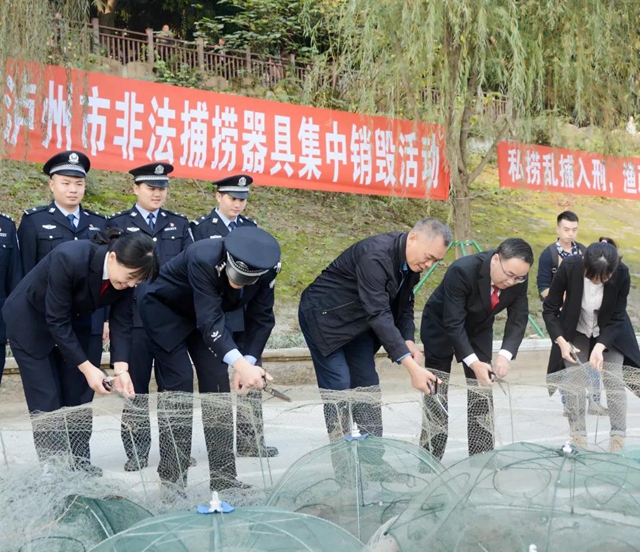 鐵腕禁捕！銷毀非法捕撈器具、增殖放流、普法宣講......瀘州這個活動看點多多！(圖1)