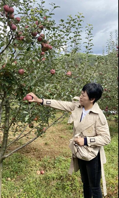 蘋果樹里結(jié)出彝族老鄉(xiāng)對(duì)美好生活的新期待！(圖31)