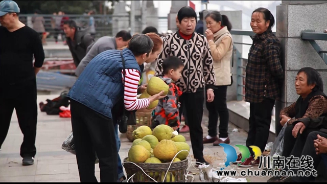合江：肩條豐挑，長江北岸耕作人將迎出行之變！(圖4)