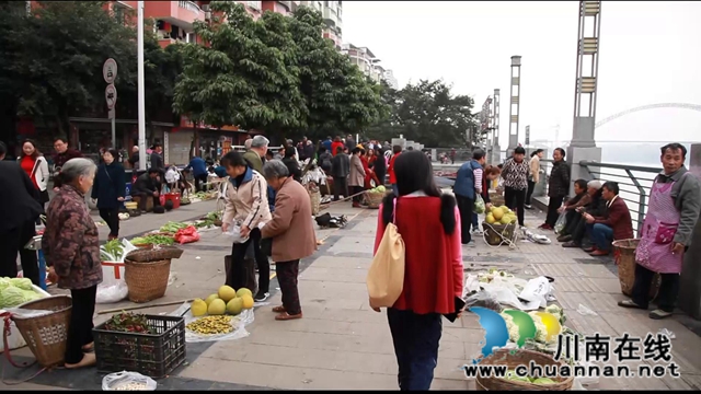 合江：肩條豐挑，長江北岸耕作人將迎出行之變！(圖3)