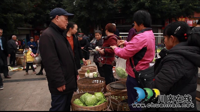 合江：肩條豐挑，長江北岸耕作人將迎出行之變！(圖6)