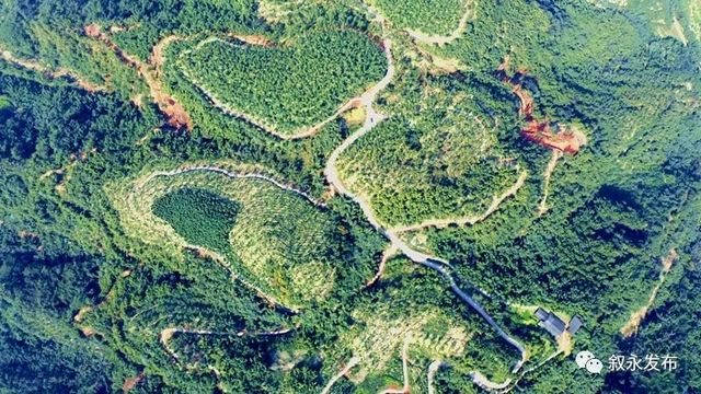 敘永5個丨首批省級竹林人家揭曉，瀘州7個地方上榜(圖1)