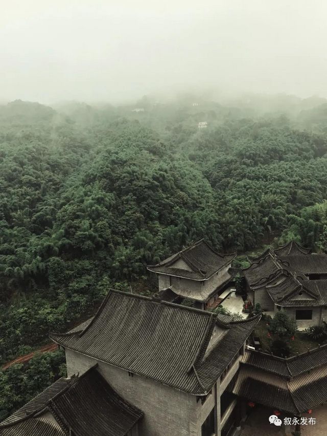 敘永5個丨首批省級竹林人家揭曉，瀘州7個地方上榜(圖6)