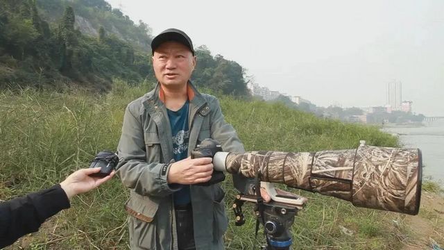 驚呆了！內(nèi)江驚現(xiàn)這么多珍稀鳥類——(圖6)