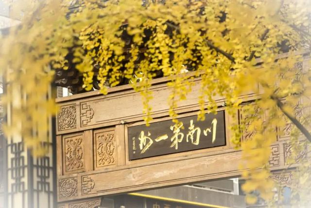 舉杯世界 幸福江陽(yáng) 丨初冬銀杏，一眼動(dòng)心(圖21)