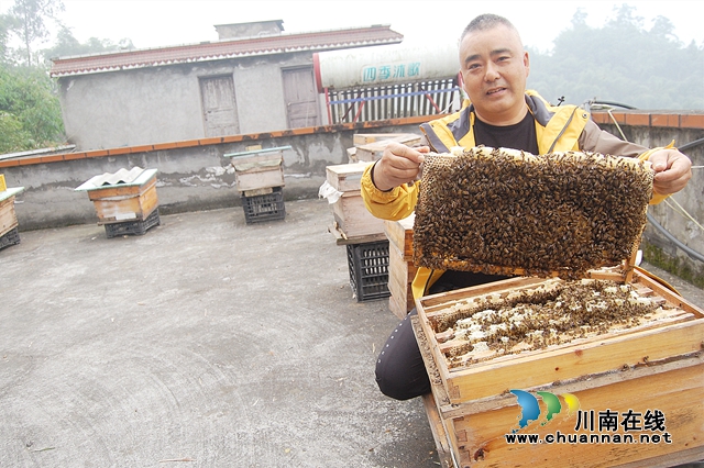納溪：“與蜂共舞”十八載，鞋匠變身“養(yǎng)蜂達人”(圖3)