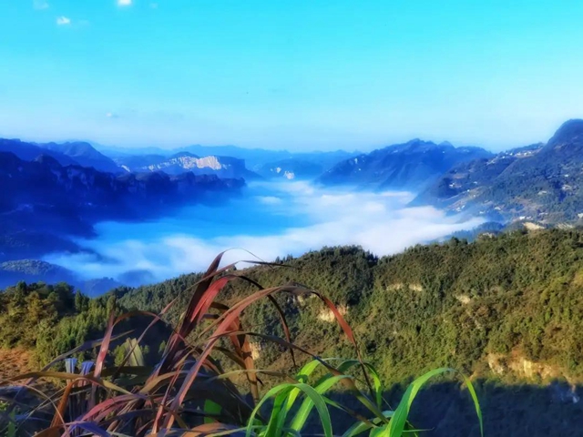 初冬，來(lái)古藺赴一場(chǎng)云海大觀之約！(圖5)
