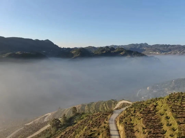 初冬，來(lái)古藺赴一場(chǎng)云海大觀之約！(圖9)