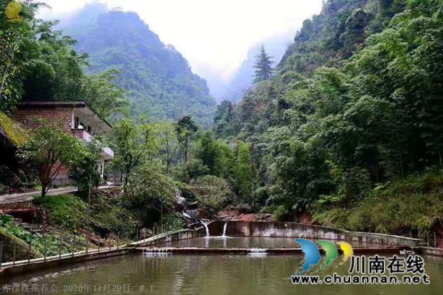 山澗溪流活源頭，桫欏樹下魚兒游！貴州“赤擺擺”高山冷水魚品質(zhì)看得見(圖5)