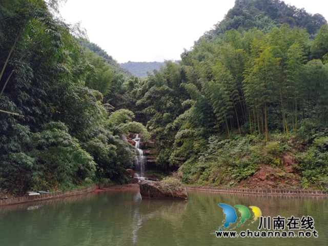 山澗溪流活源頭，桫欏樹下魚兒游！貴州“赤擺擺”高山冷水魚品質(zhì)看得見(圖4)