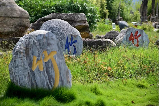 火了！宜賓這些村成新"網(wǎng)紅"！民宿、游道…最近的只要20分鐘！(圖25)