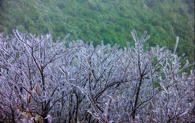 2020敘永、古藺初雪美景圖(圖4)