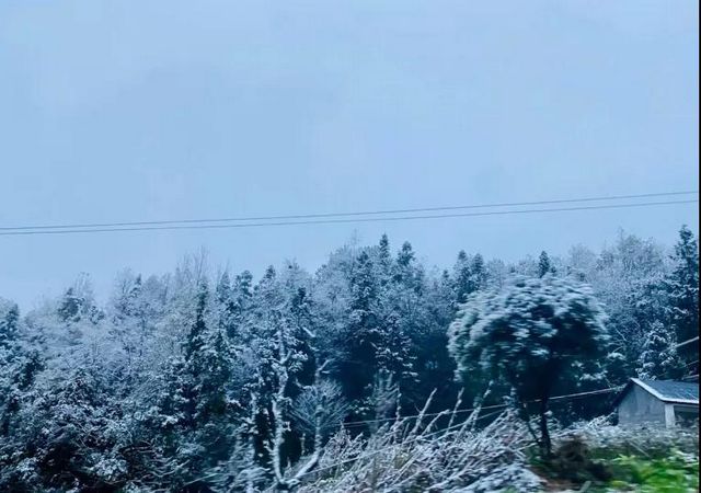 2020敘永、古藺初雪美景圖(圖8)